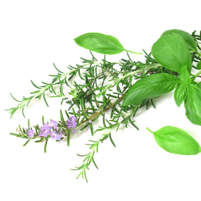 【心と体を整える自然の力】おすすめハーブ５選と効果・使い方を徹底解説