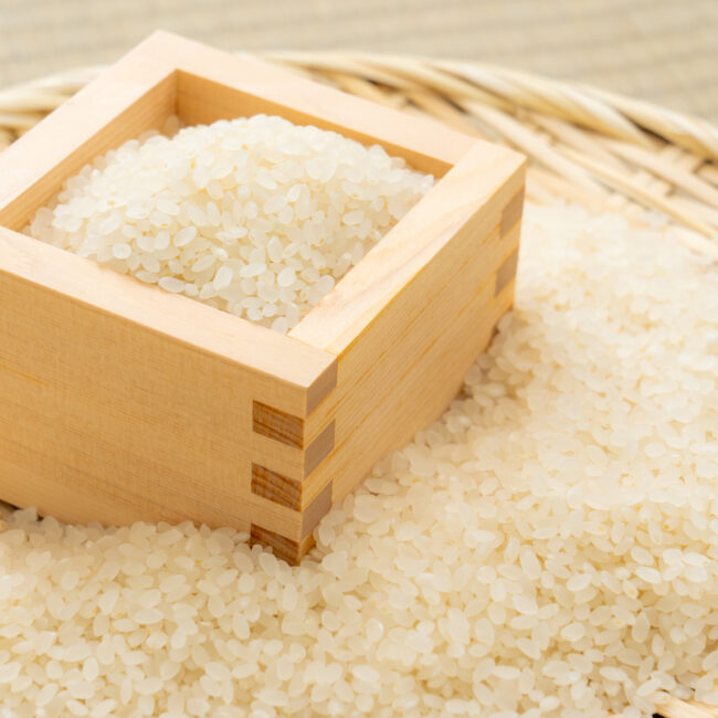 玄米・白米・無洗米・分づき米の違いと特徴を徹底解説